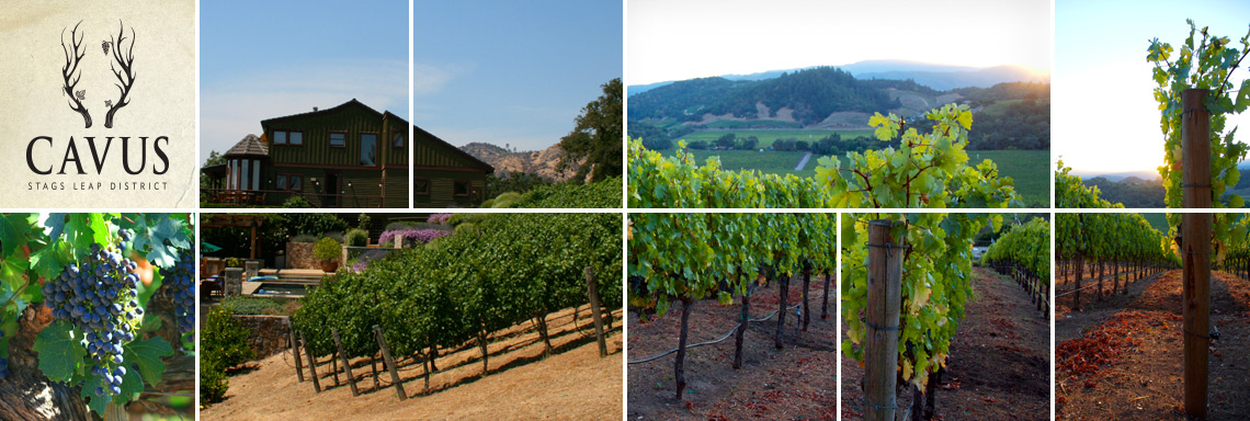 About Our Wine image